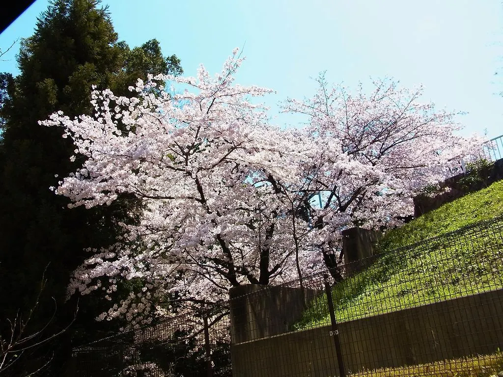 Guesthouse Engawa Kyoto Guest house